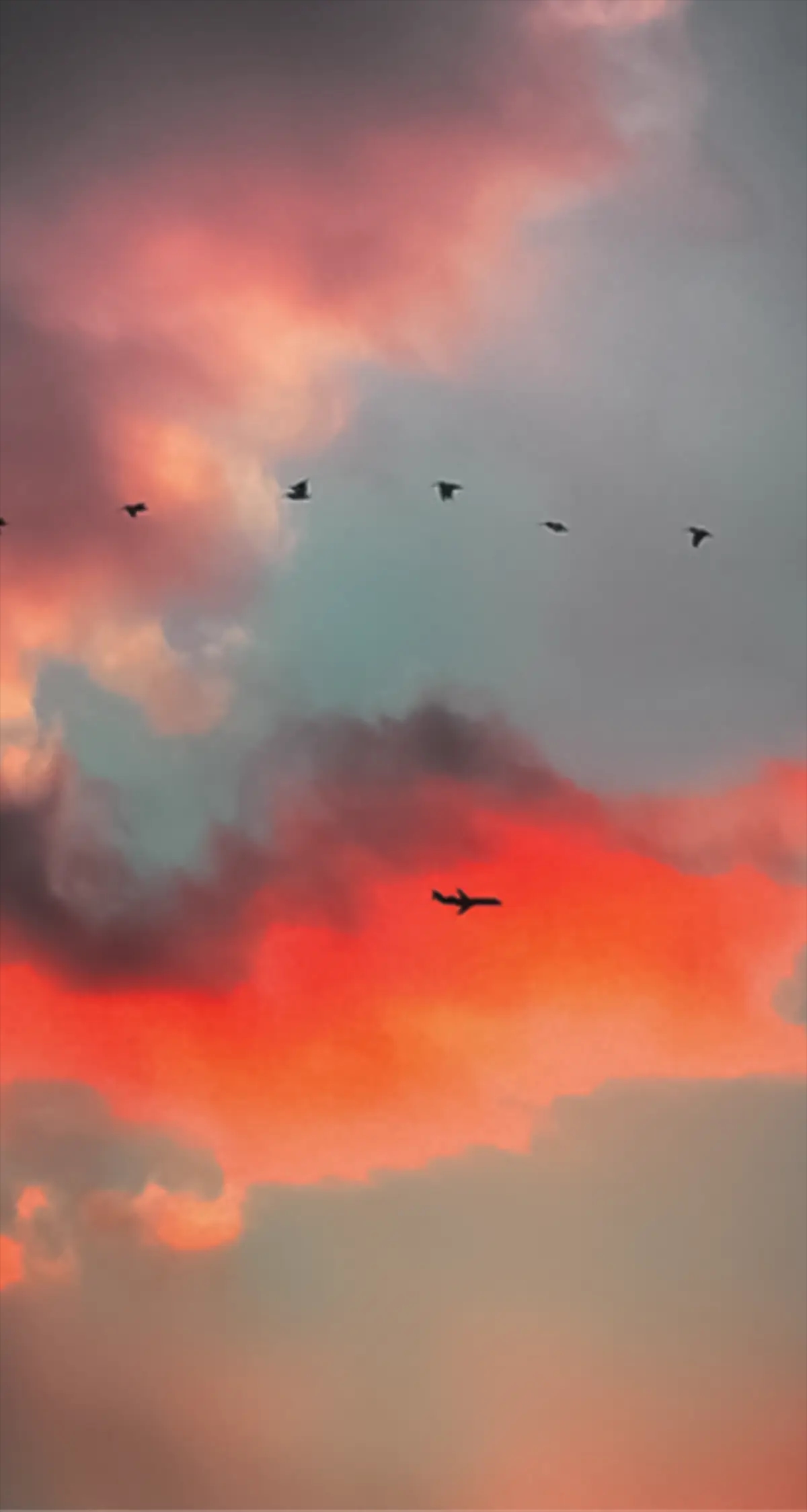 ESG task force and infrastructure